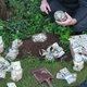 White House staff found at least nine coffee tins full of wadded-up bills in the northeast corner of the Rose Garden.